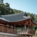 다향울림 이미지