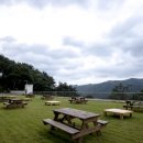 나봄이네 이미지