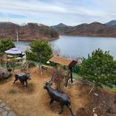 희희낙락풀빌라 이미지