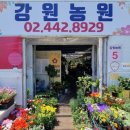강원농원 이미지