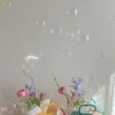 꽃;마음담다 이미지