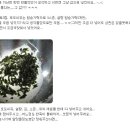 크레커 이미지