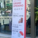 부산 미남역 신상 카페 추천 투썸플레이스 부산사직삼거리점 솔직 후기 (+ 투썸 미스터리박스 오픈 이벤트)