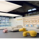 강아지는 내 운명 | 부산 강아지분양 리얼 후기! 수영구 '유독'에서 만난 내 운명의 댕댕이 🥰