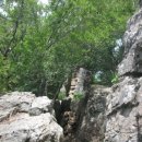 대방농원 이미지