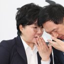 배양곡 이미지
