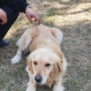 까치샘아파트 이미지