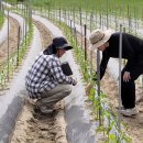 정읍시 농업기술센터 이미지