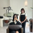 뮤뮤헤어 | 동탄 장지동 1인 미용실 뮤뮤헤어 내돈내산 후기