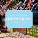 동두천 일본마을 ‘니지모리스튜디오’ 아키마츠리 가을 축제 일요일 후기 겨울 축제 일정