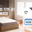 웰스코리아 이미지