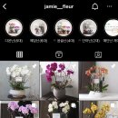 제이미플레르