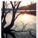 옥구저수지 이미지