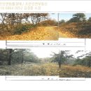 김천목장 이미지