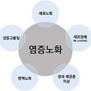 PT 더함 이미지