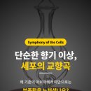 오일박사 | 부산 도테라 심포니 오브 더 셀, 보이드 박사님에게 직접 받은 후기