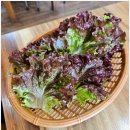 대소숯불갈비 이미지