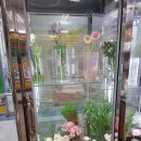 리빙시스 이미지