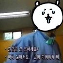 토라레스토랑