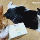 제이원바이오 이미지