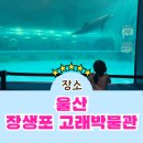 장생포고래박물관 | 아이랑 울산 장생포 고래박물관 방문후기