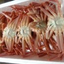 구룡포대게 이미지