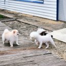 화야산장펜션 이미지