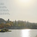 [공유] 삶 / 손병흥 이미지