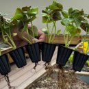 수원농협 경제사업장 이미지