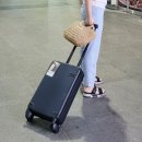캐리어 보관편한 트래블기어 폴더블 접이식 20인치 잘 사용한 후기(사용방법, 수납력)