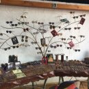 파가니니안경원광양점 이미지