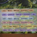 2010년 심학산 돌곶이꽃축제[2010년06월11일(금)~06.13(일)/3일간] 이미지