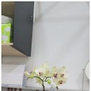 실면도 이미지