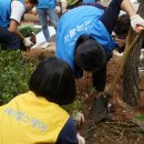 서울특별시어린이병원 이미지