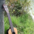 우쿨렐레연주 이미지