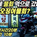 골드윙 타고 철원에 물회 먹으러 갔더니...이게 오징어물회? 이미지