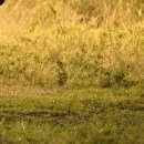 구포한의원 이미지