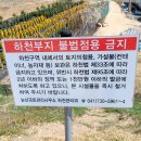 하천(금강2) 이미지