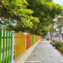 세화환승정류장 이미지