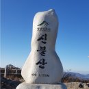 837차 영남 알프스 신불산 억새 산행(1시간 조기출발) 이미지