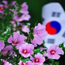 대한민국