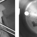 제일동물진단영상센터 이미지