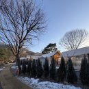 제이드모텔 | [가평] 한 겨울의 글램핑 (네츄럴밸리) / 가평숙소추천 / 글램핑추천 / 내돈내산후기