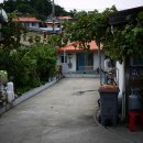 실비자연산횟집 이미지