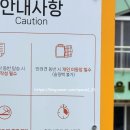 가평 레일바이크 예약방법 아기와 함께 강아지 애견동반 탑승 레일파크 주차팁 가평레일파크 후기
