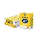 계룡로(수침교-충대병원) | 11월 셋째주 일상 (11/17-11/23)