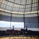 퀸즈승마장 | 대전 유성승마장 학생승마체험 후기, 호스피아 포니 자격증 취득