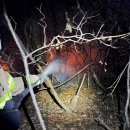 대원관광농원 이미지