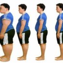 고려튼튼태권도 이미지