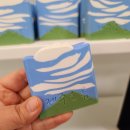 동그리솝 이미지